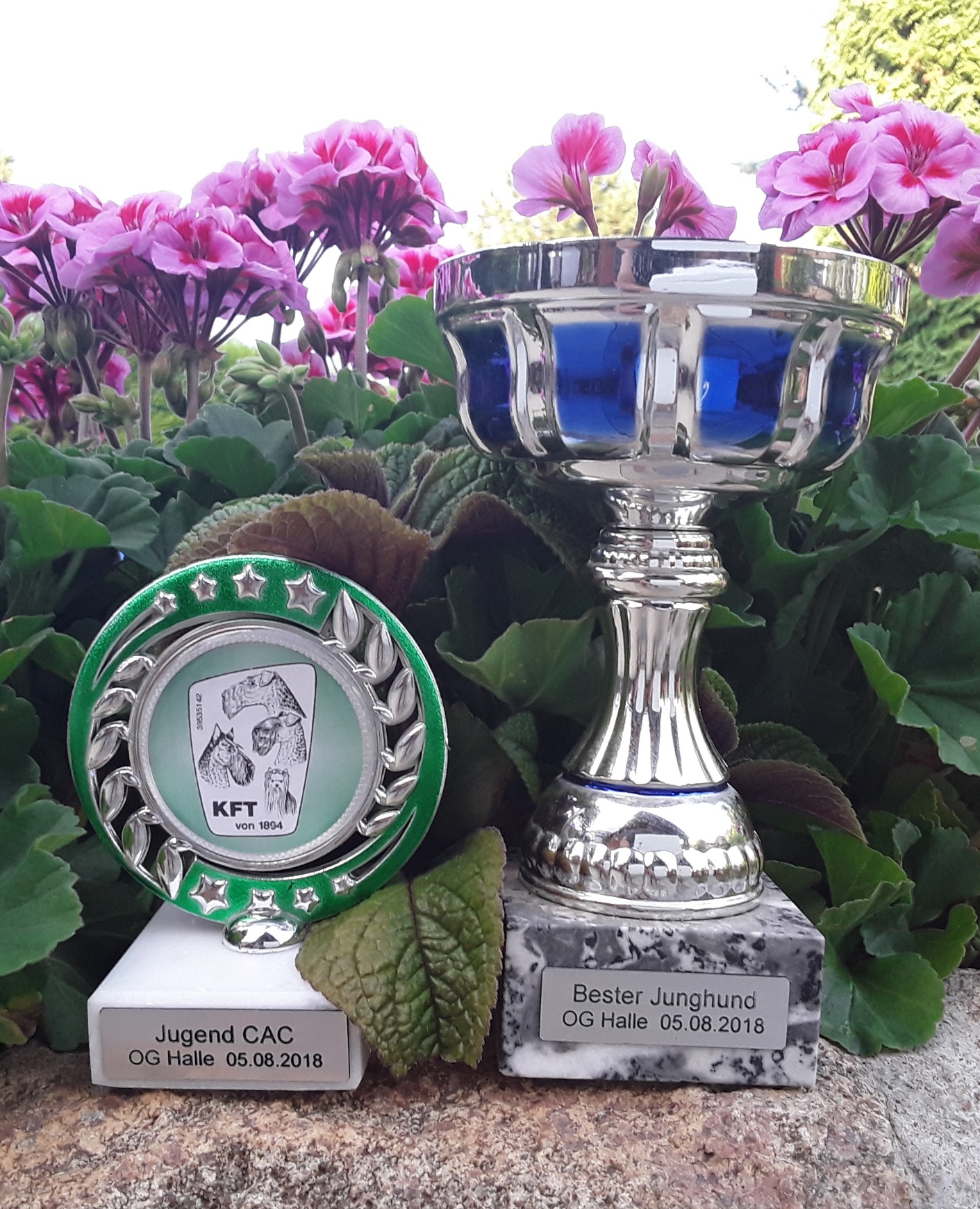 20180805_192900_resized