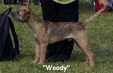 37161132_1725991694122448_549830709527707648_n (2)1