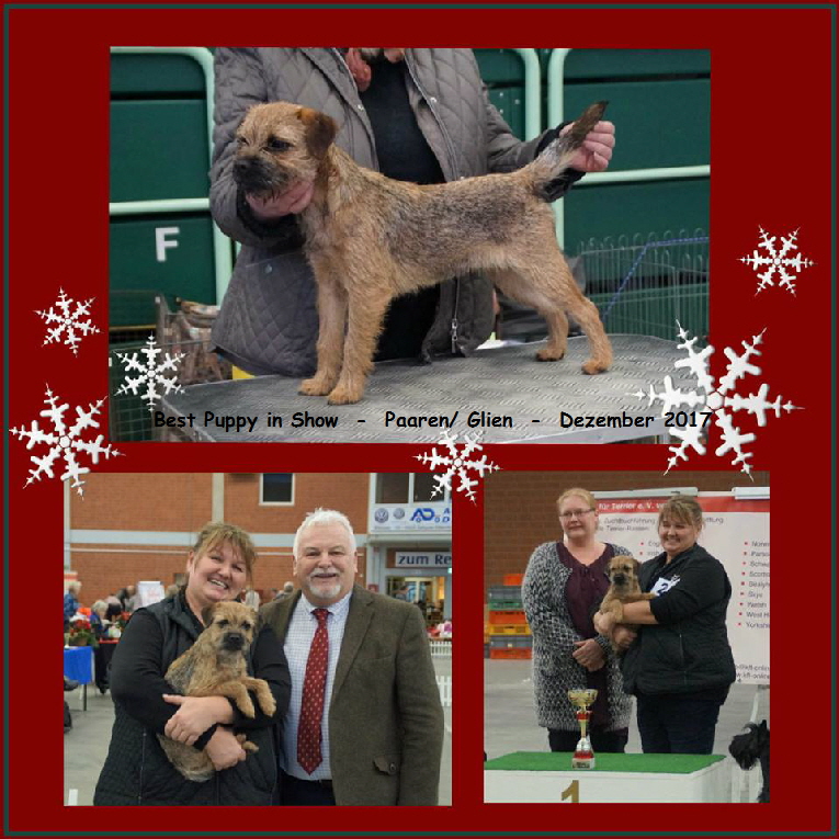 24232149_1496231700431783_5288215475412289118_n-1