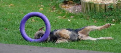 Mikey and the wheel (5)1