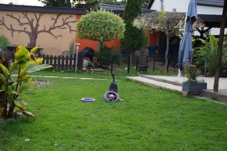 Mikey and the wheel (3)