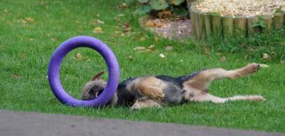 Mikey and the wheel (5)