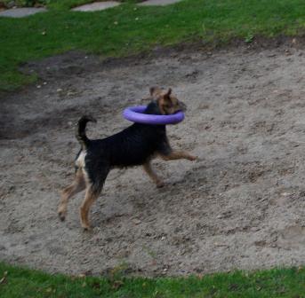 Mikey and the wheel (6)