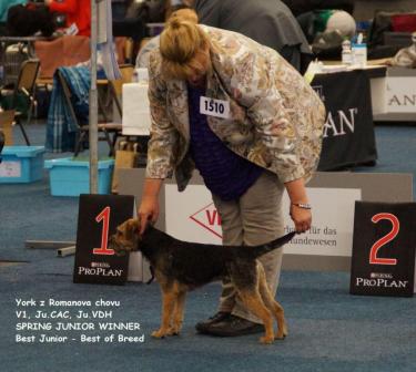 Mikey on show (2) - Kopie