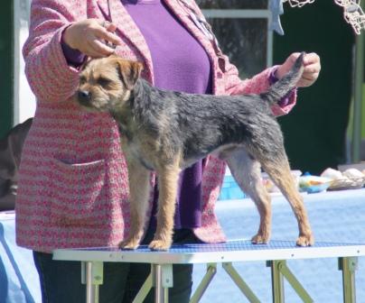 Mikey on show (7) - Kopie