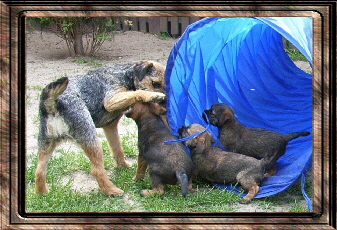 pia  and morrgan's offspring