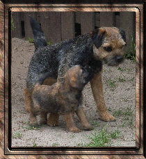 pia  and morrgans baby