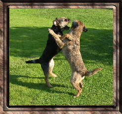 pia and morrgan (11)1