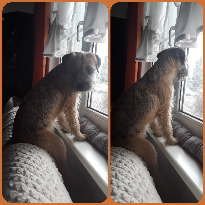 20180329_134130 20180329_134130