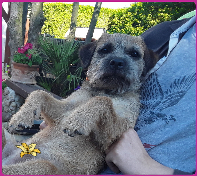 20180513_191406 20180513_191406