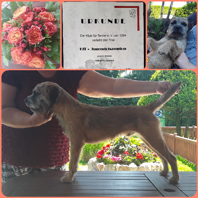 20180801_175045 20180801_175045