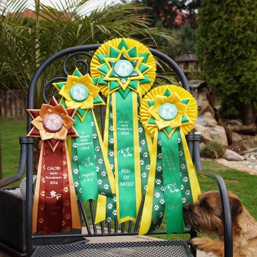 1457761_636738026381159_1653044504_n 1457761_636738026381159_1653044504_n