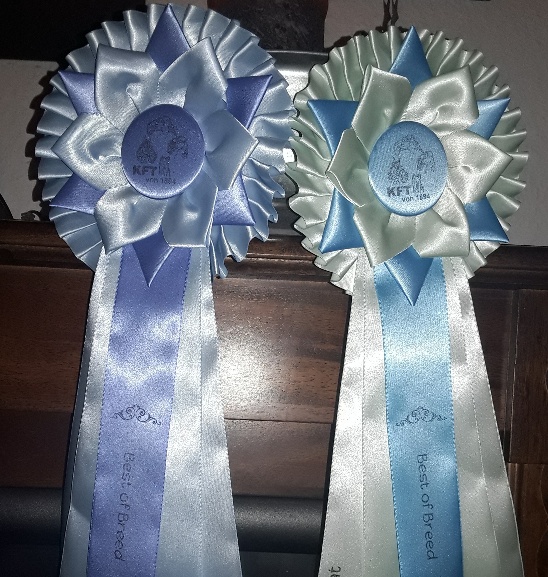 20181125_205444_resized 20181125_205444_resized