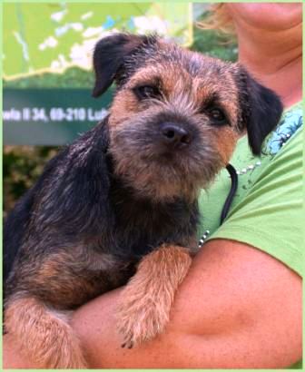 06.07.14 Luna (2) - Kopie