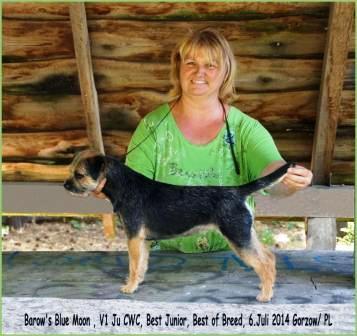 06.07.14 Luna (3) - Kopie