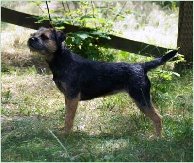 06.07.14 Luna (4) - Kopie