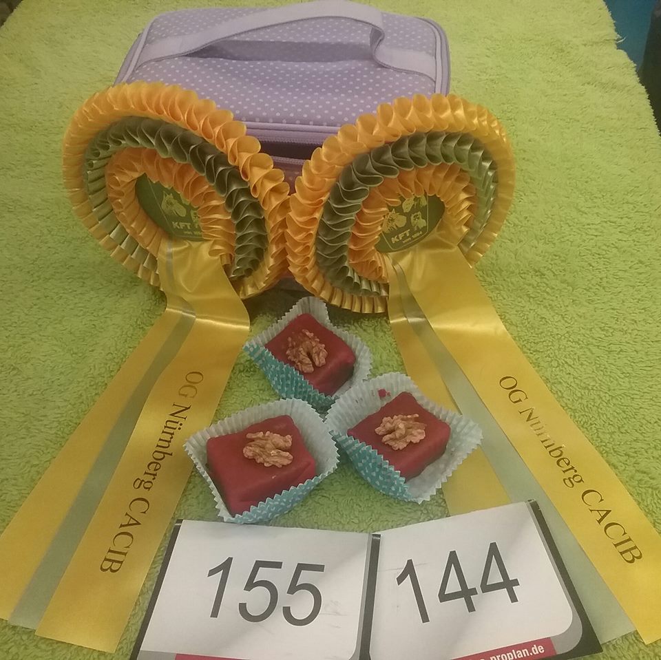 12495223_932329663488659_6303627082559557250_n