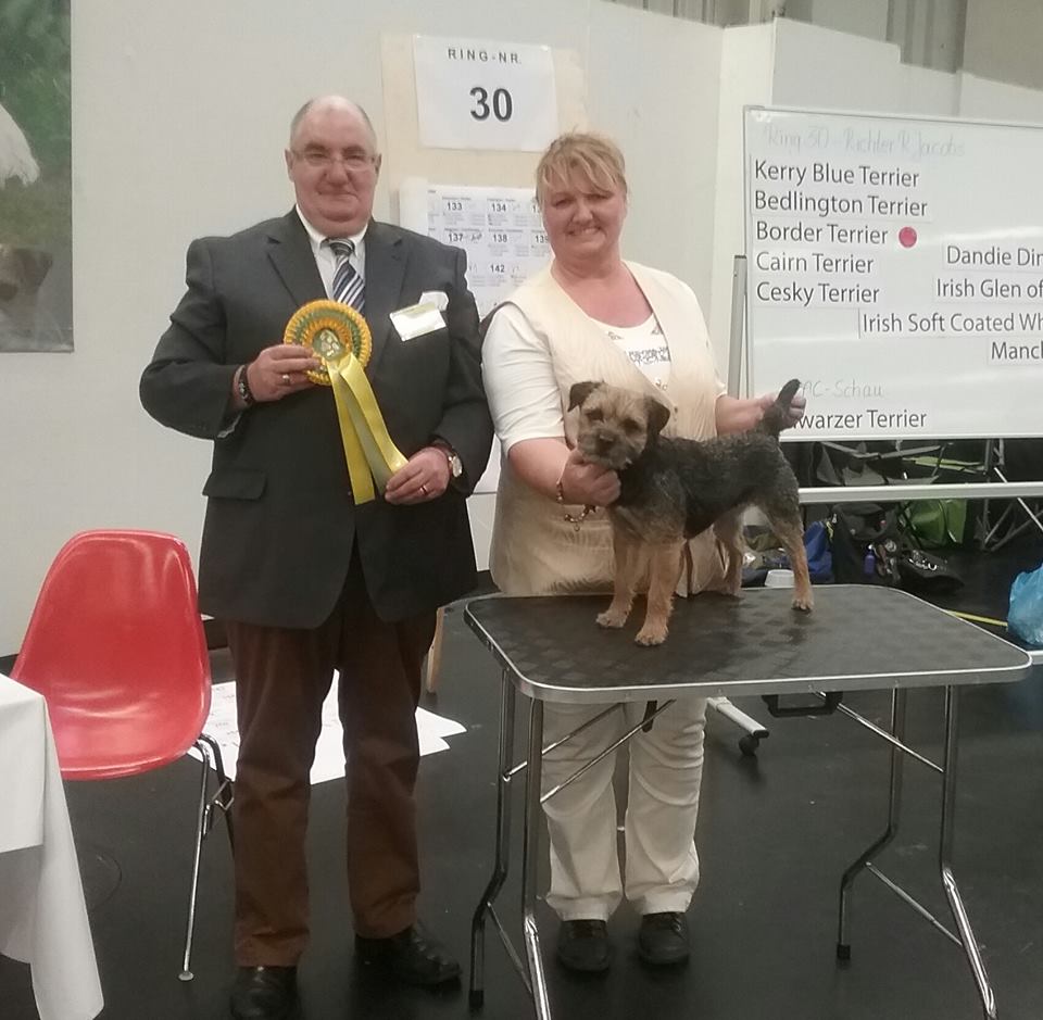 12508891_932328826822076_3185818879484581146_n