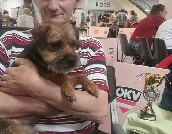 13428621_1029350867119871_7376180652550115109_n