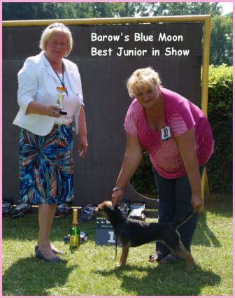 Luna Junior Best in Show - Kopie