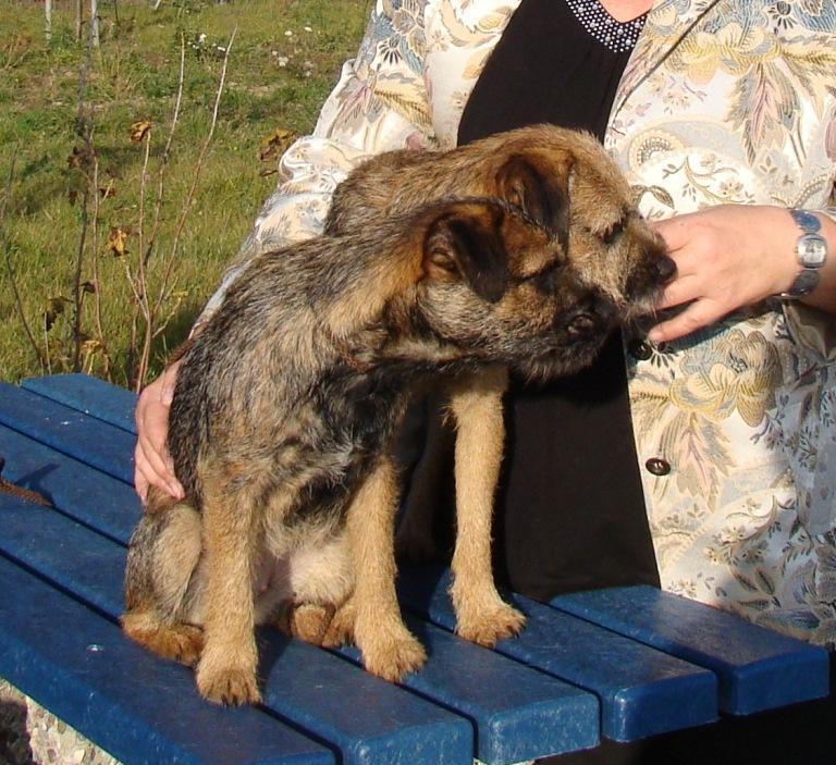 Poland Winner 2012 (6)