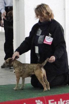 CACIB Poznan 2011 BOB Summer