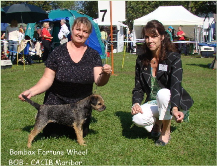 Pia BOB Clubwinner Maribor