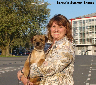 barow's summer breeze --