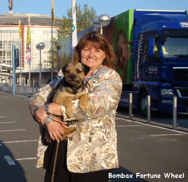 bombax fortune wheel -