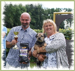 best veteran und bob