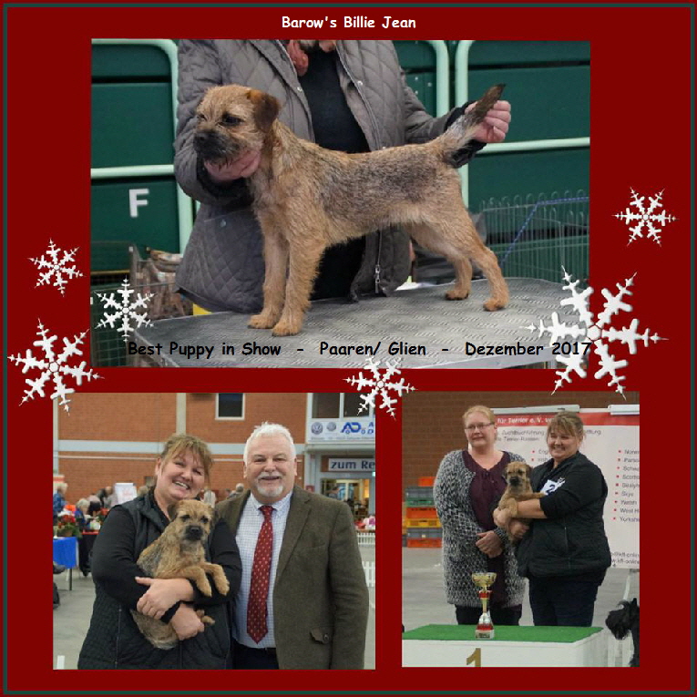 paaren glien best puppy in show